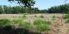 360239 – Photo : Mathurin CARNET – France (71)