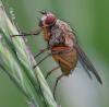 360174 – Photo : ANDRE LABETAA – France (11)