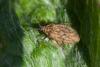 360417 – Photo : Thomas Reverchon – France (21)