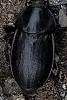 360081 – Photo : Yoann Bunz – France (05)