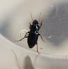 360829 – Photo : Faunedelaisne – France (02)