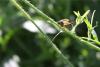 360537 – Photo : Fabrice DUSERRE – France (65)