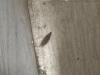 360436 – Photo : bily – France (59)