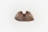 360499 – Photo : Claude Chavand – France (13)