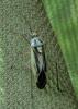 360735 – Photo : Yoann Bunz – France (05)