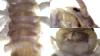 360696 – Photo : Thomas Cuypers – France (09)