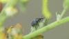 361688 – Photo : florent besson – France (05)
