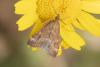 361027 – Photo : Pierre Duhem – France (13)