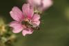 361289 – Photo : éric Pensa – France (13)