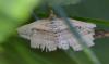 361526 – Photo : Christian Berquer – France (50)