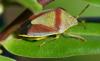 361175 – Photo : Christian Berquer – France (50)