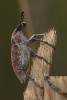 361002 – Photo : éric Pensa – France (13)