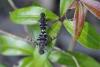 361864 – Photo : Nicolas Zwahlen – France (26)