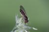 362498 – Photo : Pierre Duhem – France (71)