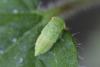 363693 – Photo : Pierre Duhem – France (71)
