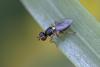 363281 – Photo : Pierre Duhem – France (95)