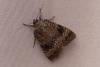 363803 – Photo : Pierre Duhem – France (28)