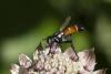 363825 – Photo : Pierre Duhem – France (73)