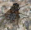 363539 – Photo : ANDRE LABETAA – France (11)