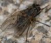 363538 – Photo : ANDRE LABETAA – France (11)