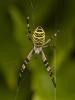 363349 – Photo : lguez – France (12)