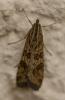 363523 – Photo : lguez – France (91)