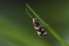 364670 – Photo : Pierre Duhem – France (73)