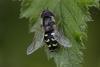 364459 – Photo : Pierre Duhem – France (73)