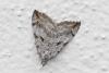 364302 – Photo : Jean-Claude Lablanquie – France (63)