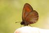 364113 – Photo : Thierry Madigou – France (74)