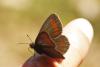 364114 – Photo : Thierry Madigou – France (74)