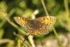 364009 – Photo : Thierry Madigou – France (74)