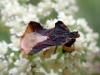 364196 – Photo : Benjamin Guichard – France (09)