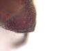 365591 – Photo : INGREMEAU Daniel – France (36)